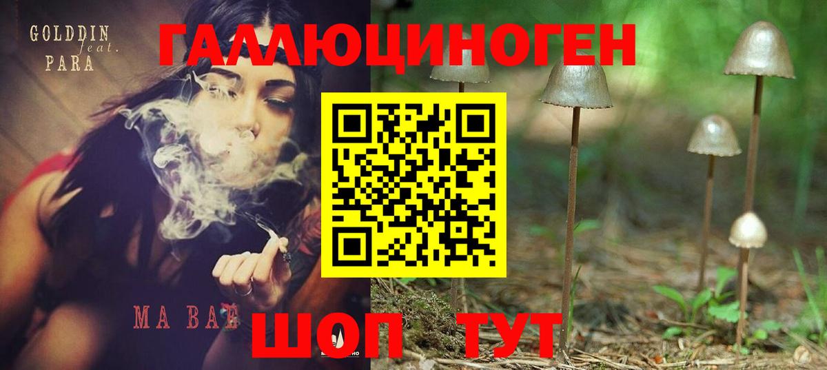 Псилоцибиновые грибы MAGIC MUSHROOMS Ржев
