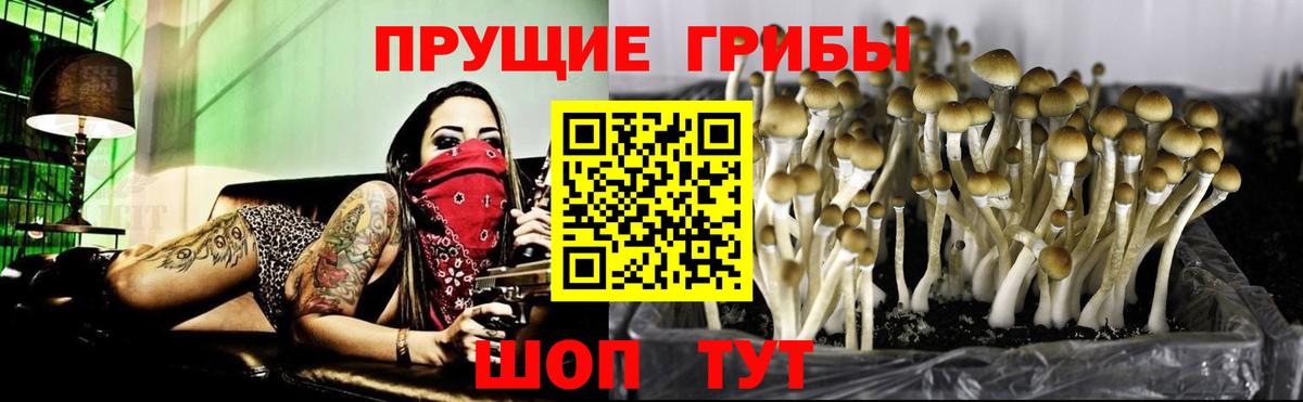 Ржев  Псилоцибиновые грибы Magic Shrooms  Вход с VPN 